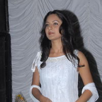 Pooja (Actress) - Veedu Theda Audio Launch Pictures | Picture 58273